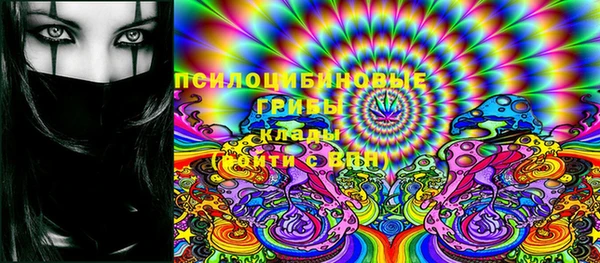 прущий лед Верея